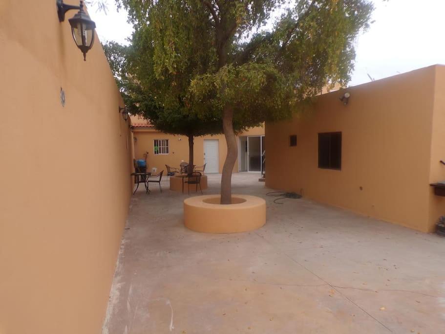 Apartamento 12 Con Dos Camas , A 200 Mts Del Vado Del Rio , Cerca Del Centro De Gobierno , Internet De Alta Velocidad Hermosillo Zewnętrze zdjęcie